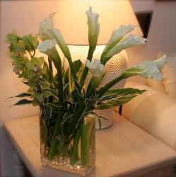 calla1